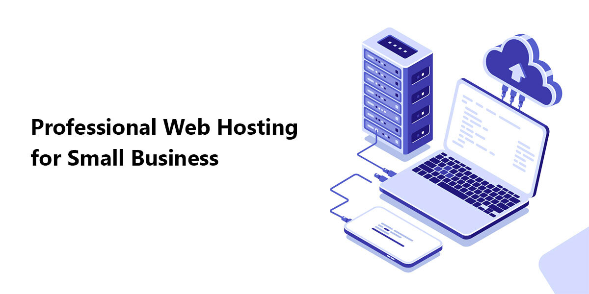 Professional Web Hosting for Small Businesses 2022!
