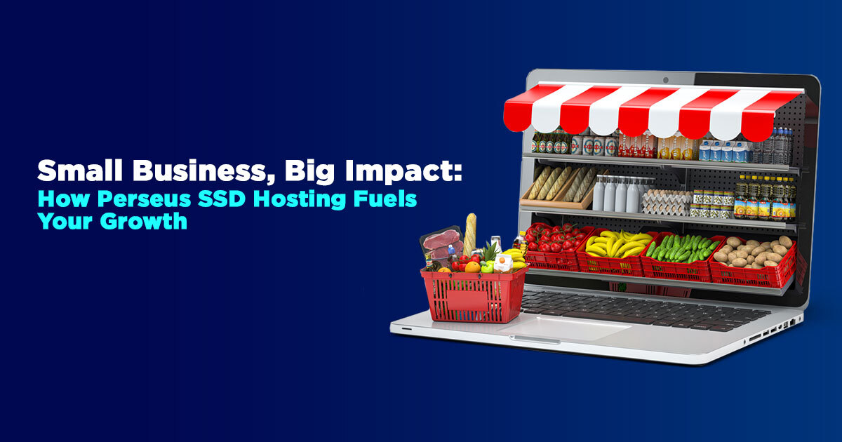 Small Business, Big Impact: How Perseus SSD Hosting Fuels Your Growth