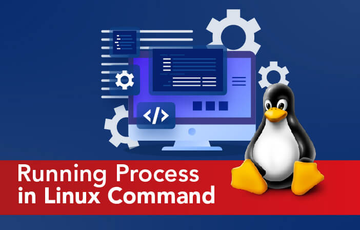 Check Running Process in Linux Command